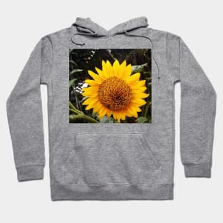 Helianthus Hoodie